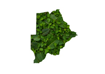 Botswana Map Illustration with Green Leaves and Transparent Isolated Background