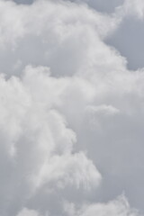 雲
