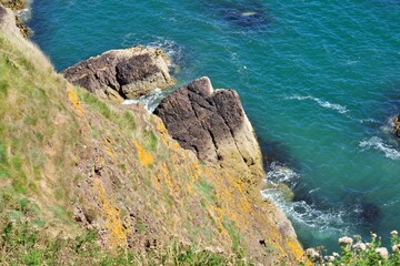 Vibrant coastal cliffside with lush greenery and rugged rocks meeting the turquoise sea