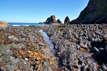 Rugged coastal landscape with rocky shoreline and clear blue sky at Cannon Beach, Oregon.