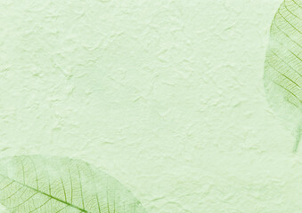 Green paper texture with leaves pattern background, blank natural green paper pattern background