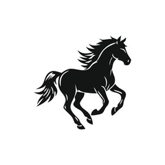 rearing horse black white