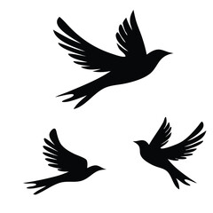 Flying birds silhouettes pattern wallpaper. Vector illustration. isolated bird flying vector