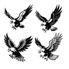 Bald Eagles Set