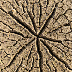 Close Up Photo of a Weathered Brown Wood Texture Background