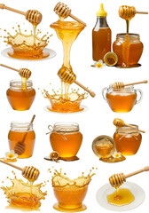 Collection of Honey in Glass Jars and Bottles with Wooden Dippers on Transparent Background