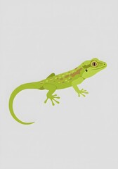 Green Gecko Illustration on White Background
