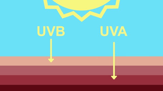 Difference between impact of UVB and UVA sun rays on skin protection in a visual diagram animation