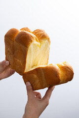 Close-up of torn toast details with white space