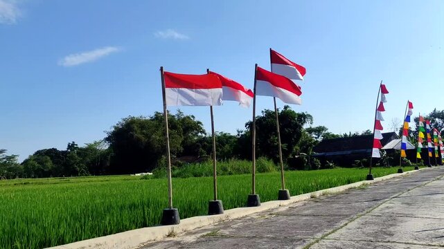 Independence Day of the Republic Indonesia. A row of red and white Indonesian flags fly proudly on bamboo poles along the rice fields with the clear blue sky as a backdrop. Symbolizing national pride