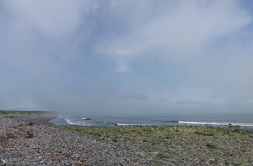 Foggy morning on Iturup Pacific ocean coast