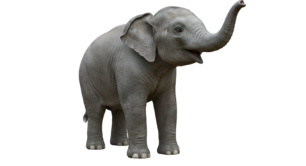 Elephant in Natural Standing Position