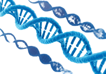 Detailed 3D Illustration Of Blue DNA Helix On Transparent Background