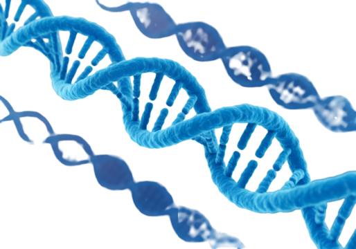 Detailed 3D Illustration Of Blue DNA Helix On Transparent Background