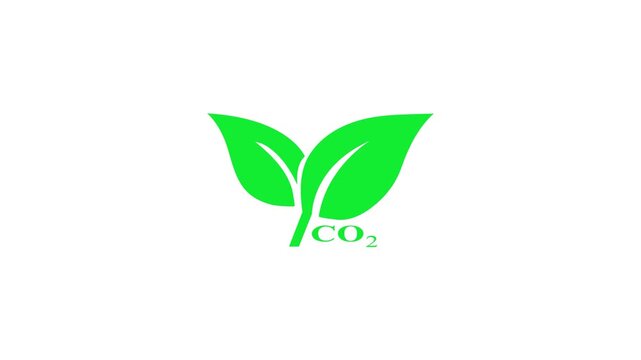 Tree leaves icon animation on white background. plant leaf tree leaves flying on wind motion graphics. tree leaves icon symbol CO2 4k video footage.