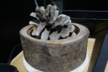 old wooden bowl