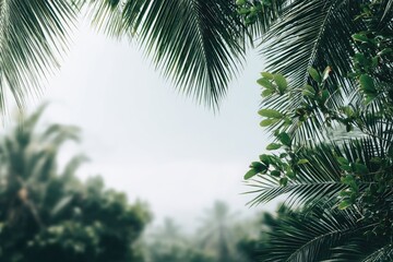 Fototapeta premium Tropical foliage frame. Soft focus