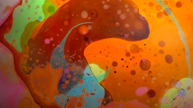 Authentic psychedelic liquid light show using the same methods as 1960's and 1970's projections at classic acid rock shows. Light art. 1 of 14 in a series that seamlessly connect.