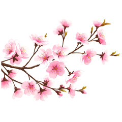 Illustration Of Cherry Blossoms Branch Isolated On Transparent Background