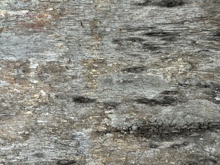Closeup of aged wooden surface with deep cracks and rough texture. Weathered cracked wood texture top view with dark grain. Old tree wood texture rotting background.