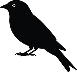 Fototapeta premium Black bird silhouette white background avian