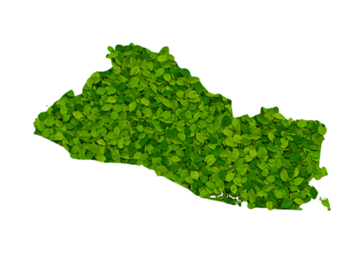 El Salvador Map Made Of Green Leaves On Isolated Black Background Photo