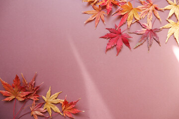 Colorful autumn leaves composition on brown background.
Autumn natural background decoration with colorful leaves. 