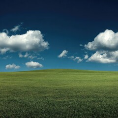 Fototapeta premium Wide expanse of vibrant green grass meets a vast, blue sky dotted with fluffy white clouds