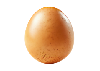 Single, light brown egg, smooth surface with subtle speckles