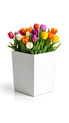 Colorful tulips in a white pot (1)