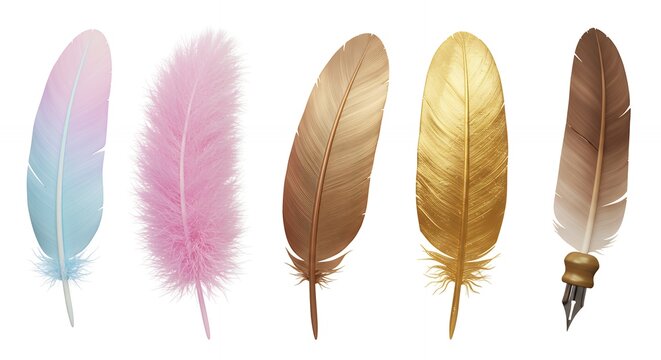 Colorful feathered image elements