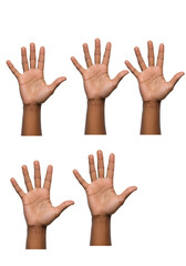 Obraz premium Five Human Hands with Palms Open and Showing Fingers Isolated on Transparent Background