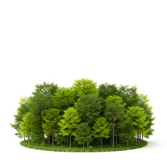 Obraz premium Isolated Forest Island Illustration Green Trees with Leaves in Sunlight