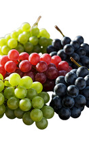 Isolated Grapes in Green Red and Black Colors on Transparent Background Photo