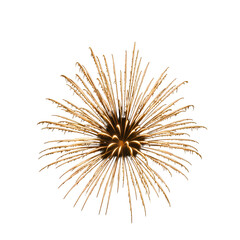 Naklejka premium Golden Firework Burst Against Isolated Black Background PNG Illustration