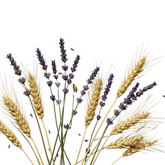 Fototapeta premium Isolated Lavender and Wheat Floral Arrangement on Transparent Background
