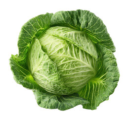 Obraz premium cabbage isolated on white background