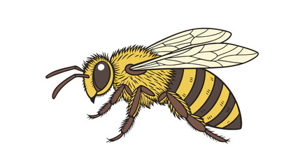  close-up-vector-of-bee-wings-and-fuzzy-texture.