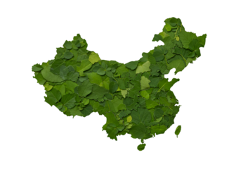 Green Leaf China Map Illustration Isolated on Black Background