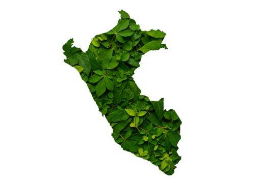 Green Leaf Map of Peru Isolated Illustration on Transparent Background