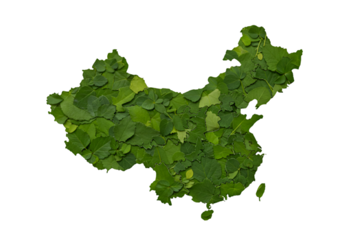 Green Leaf China Map Illustration Isolated on Black Background