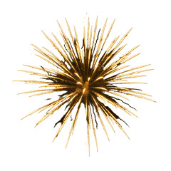 Naklejka premium Golden Firework Illustration Isolated On Transparent Black Background