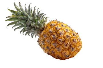 Single ripe pineapple, light yellow skin, dark green leaves