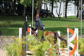 Competitive equestrian sport