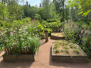 stone path in garden