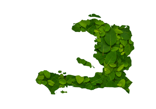 Green Leaf Haiti Map Illustration On Black Isolated Background