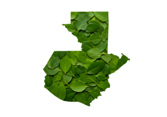 Guatemala Map Silhouette Composed of Green Leaves Isolated on Black Background Illustration