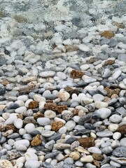 Smooth pebbles rest beneath crystal-clear coastal water.