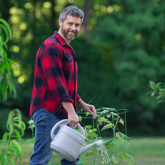Gardener growing plants in the garden. Gardener plant tree in the home backyard. Gardener planting...
