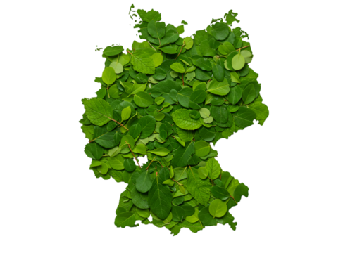 Illustration of Germany Map Formed by Lush Green Leaves Isolated on Black